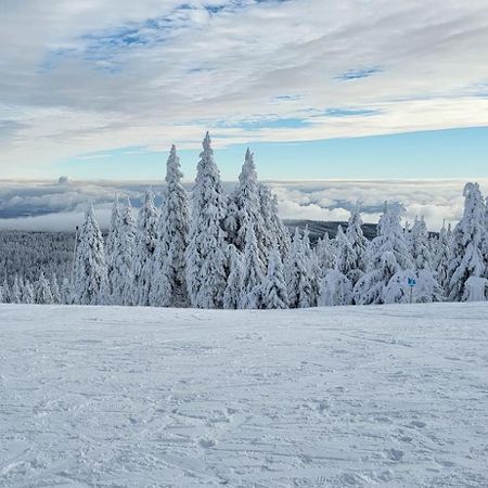 Chata Jeleni Drevenice S Vlastni Virivkou Horni Halze Eksteriør bilde